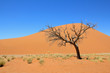 Dead Vlei Namibia