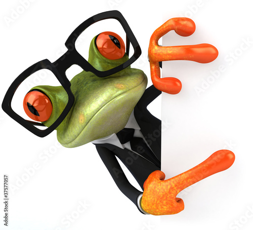 Illustration: Grenouille Grenouille