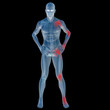 High resolution conceptual 3D anatomy High resolution conceptual 3D anatomy