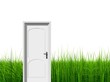 High resolution door on grass isolated High resolution door on grass isolated