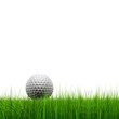 High resolution golf ball in grass High resolution golf ball in grass