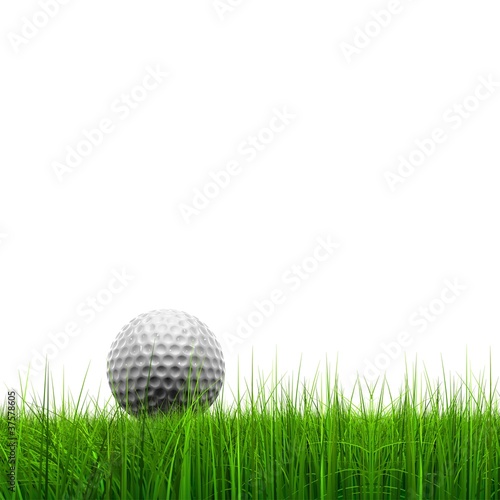 Illustration: High resolution golf ball in grass High resolution golf ball in grass