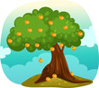 Orange tree