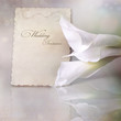 Wedding invitation card with calla lilies