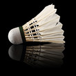badminton 1