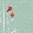 Sfondo invernale - Red Cardinal winter background Sfondo invernale - Red Cardinal winter background