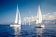 Sailing ship yachts with white sails