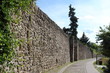 Stadtmauer in Bernau