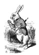 Rabbit with watch