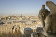Gárgola de Notre Dame, Paris