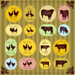 Farm birds egg and meat labels illustration collection