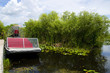Airboat in the Everglades Florida USA