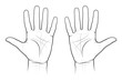 Chiromancy Chart of the Palms: lines and ways