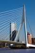 View of Erasmusbrug over Rotte river at Rotterdam - Netherlands View of Erasmusbrug over Rotte river at Rotterdam - Netherlands