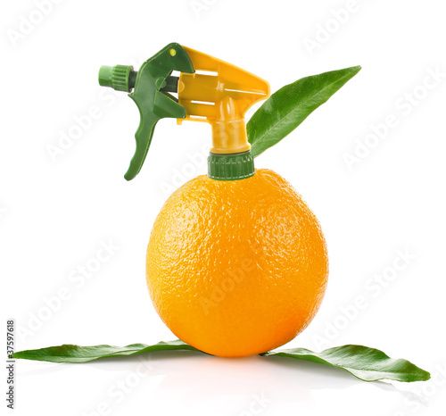 Foto: creative conception of orange isolated on white background creative conception of orange isolated on white background
