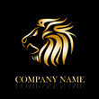 Logo Lion, strength and courage concept # Vector