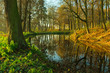 Poranek nad stawem Poranek nad stawem