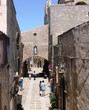Erice monte