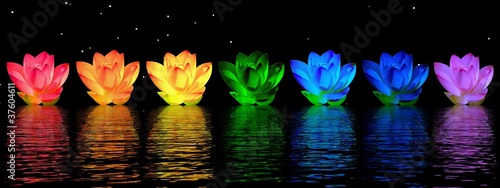 Illustration: Lily flowers chakras Lily flowers chakras
