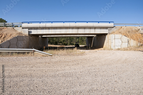 Photo: Wildlife crossing Wildlife crossing