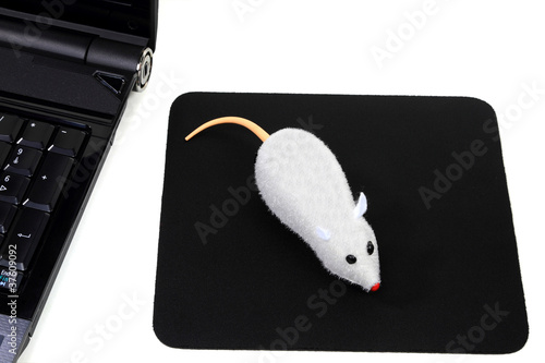 Foto: Two buttons Wireless mouse, Funny Computer picture Two buttons Wireless mouse, Funny Computer picture