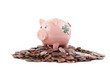 Piggy Bank Standing On Coins
