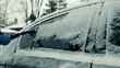 Winter car cleanup