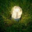 Foto: led lamp on the grass led lamp on the grass