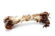Photo: A bone of a turkey leg on a white background. A bone of a turkey leg on a white background.