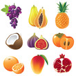 Vector: fruits icons fruits icons