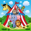 Circus theme picture 1 Circus theme picture 1