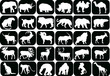 collection of animals icons collection of animals icons