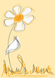 Blume