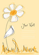 Blume