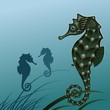Fish sea horse - vector illustration. Fish sea horse - vector illustration.