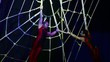 circo, acrobati circo, acrobati