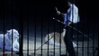 circo, il domatore di tigri