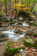Autumn Stream