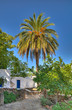 palmengarten