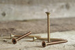 screw