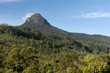Mount Adam's Peak / Sri Pada