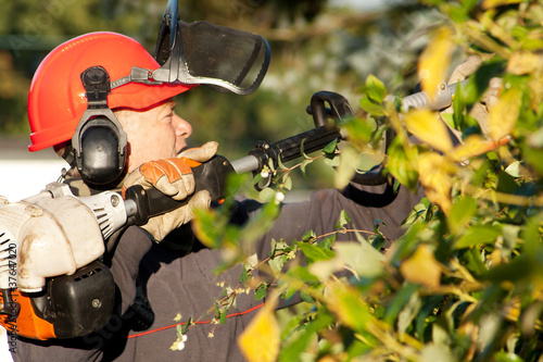Photo: Workman wielding a long hedge-cutter Workman wielding a long hedge-cutter
