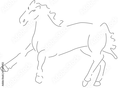 Horse Horse