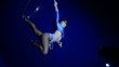 circo, un'acrobata circo, un'acrobata