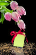 Beautiful tulips and a blank gift tag with bow
