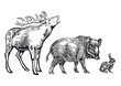Waldtiere