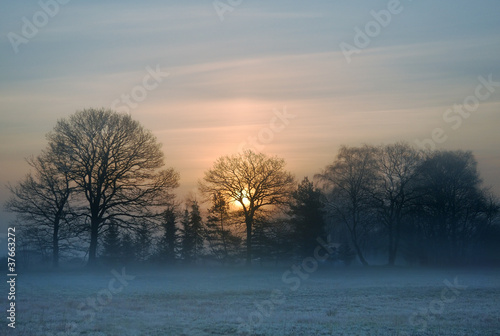 Photo: Morning Morning