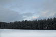 Schneewald