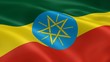 Ethiopian flag in the wind Ethiopian flag in the wind