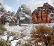 Winter Snow At Zion National Park, Utah